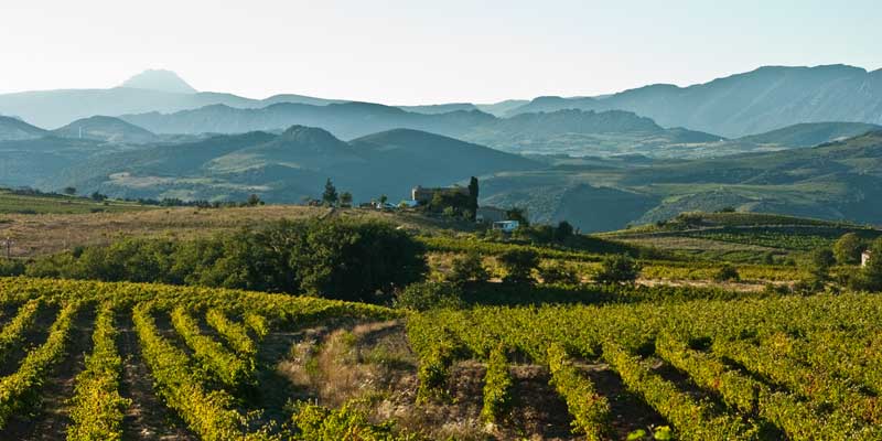 crus des cotes du rousillon